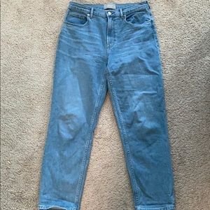 Everlane the cheeky straight jean